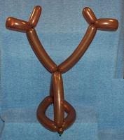 Reindeer