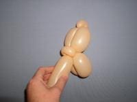 Dog 4