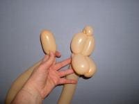 Dog 5