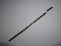 Dog 8